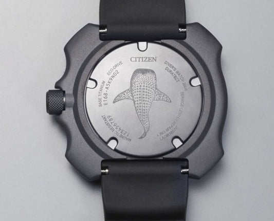 Plongée En Eau Profonde Avec La Citizen Promaster