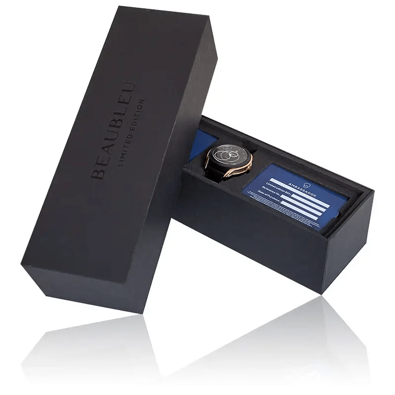 Montre Beaubleu Vitruve Date Acier B03-DAT-S-Steel image3